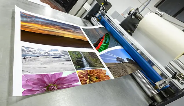 PVC Cold Lamination Film Image Surface Protection.webp